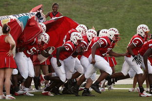 kaiyun体育app-国家队技战术水平提升瓶颈，国家技巧队