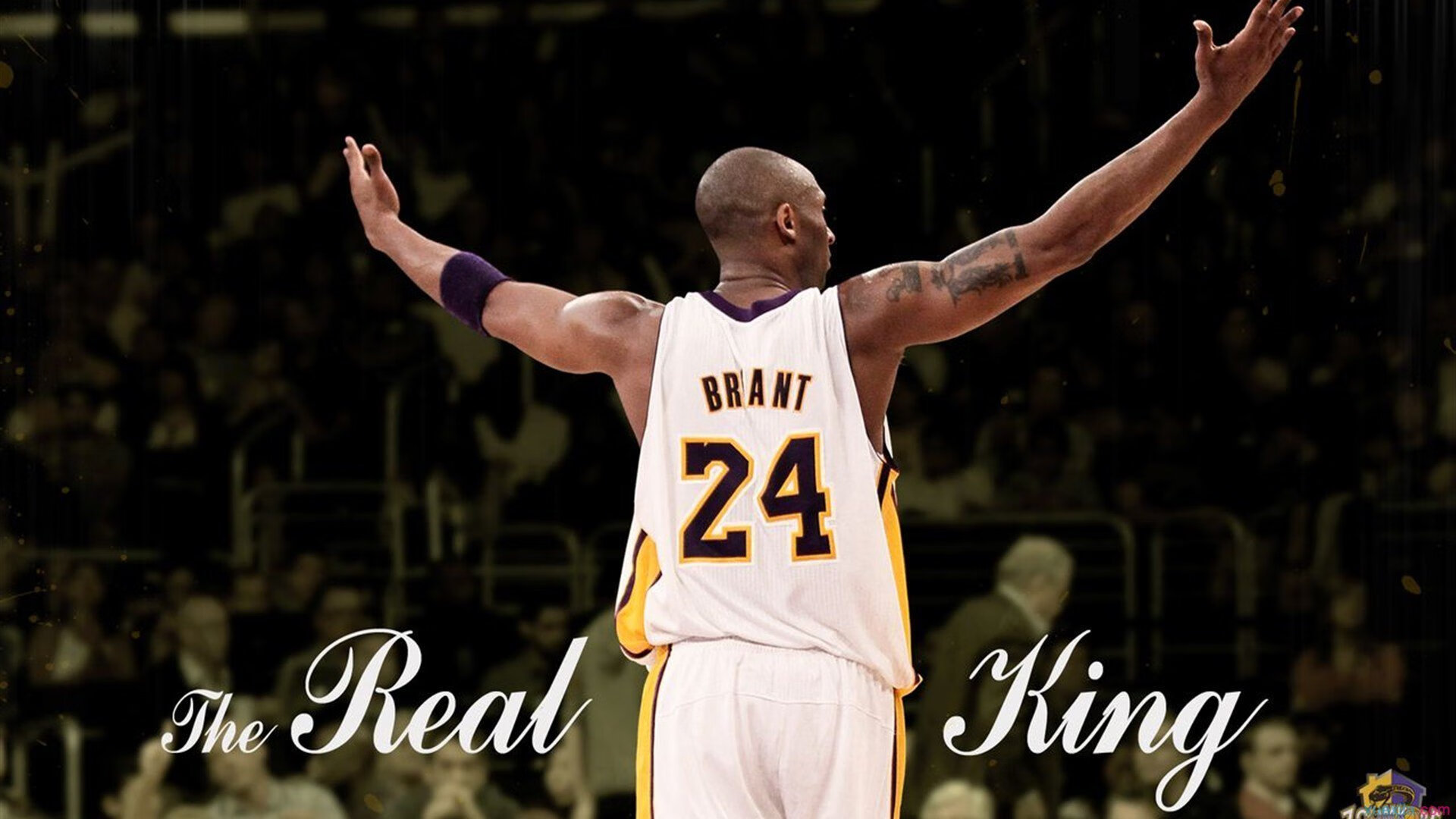 2026体育比赛重点推荐，2021体育比赛项目