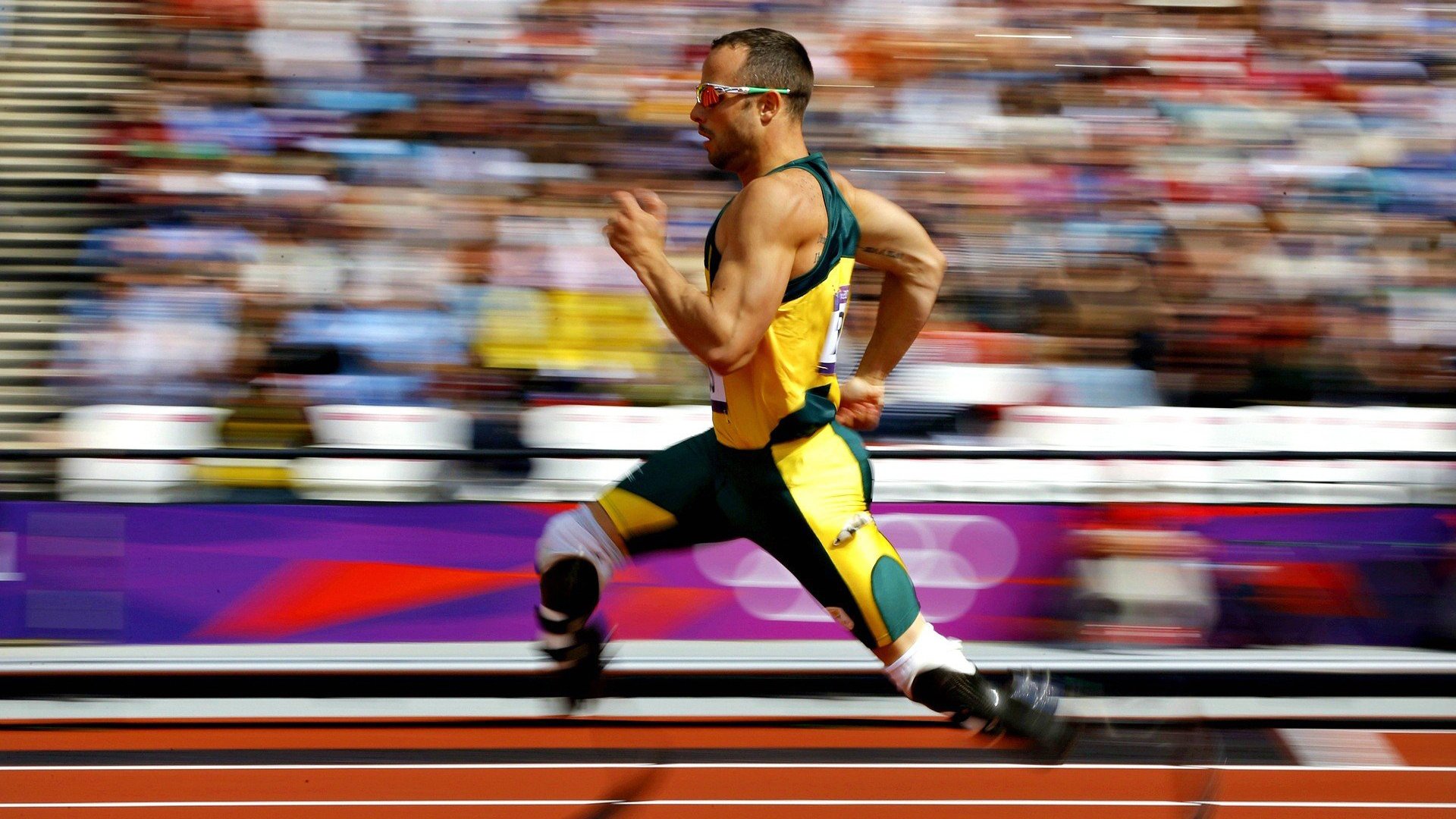 2026体育界年度看点，2021体坛